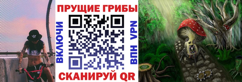 магазин    Игра  Галлюциногенные грибы Magic Shrooms 